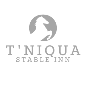 T'Niqua Logo